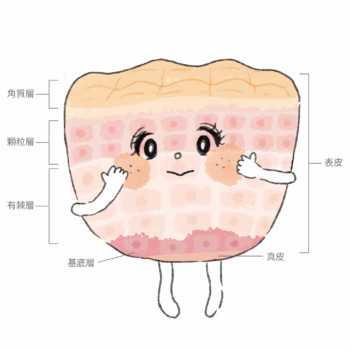 雑誌CLASSY 挿絵イラスト 角層ちゃん