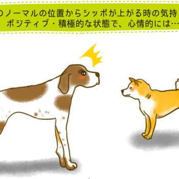 朝日新聞「sippo」挿絵イラスト